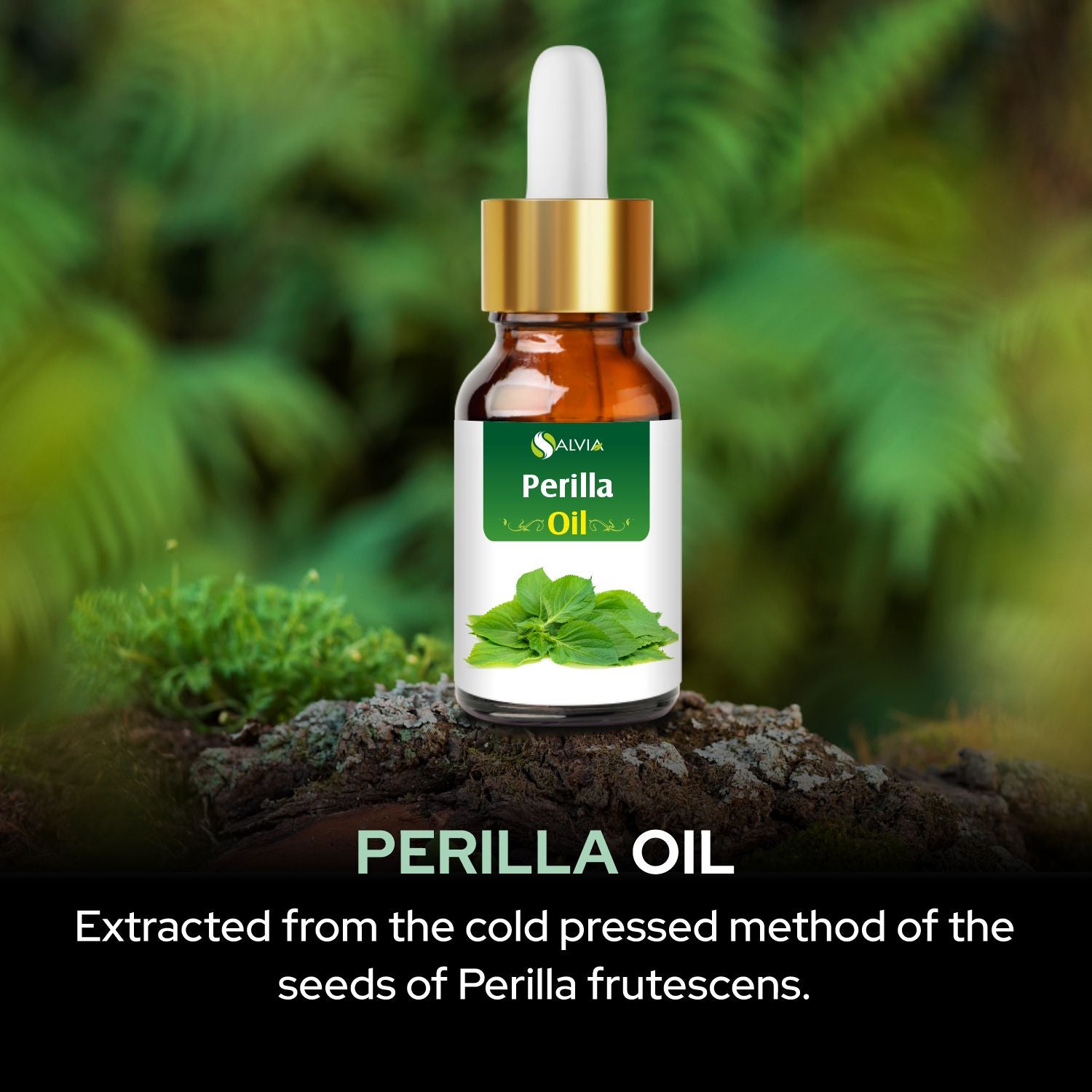 Salvia Natural Essential Oils,Dandruff,Greasy Oil,Anti Fungal,Anti-fungal Oil,Oil for Greasy Hair Perilla Oil Salvia Natural Essential Oils,Dandruff,Greasy Oil,Anti Fungal,Anti-fungal Oil,Oil for Greasy Hair Perilla Oil